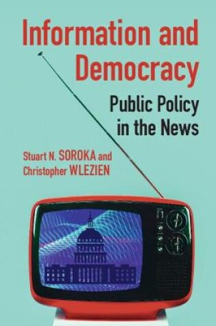 Cover of Information and Democracy