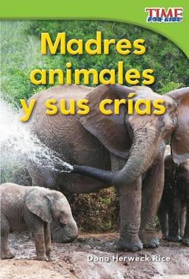 Cover of Madres animales y sus cr as (Animal Mothers and Babies) (Spanish Version)
