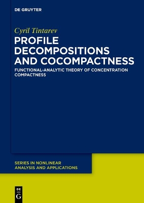 Cover of Concentration Compactness