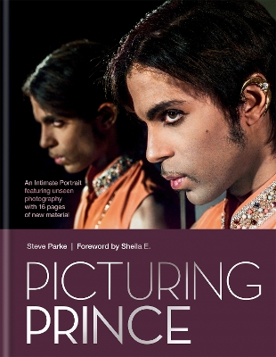 Book cover for Picturing Prince