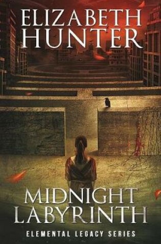 Cover of Midnight Labyrinth