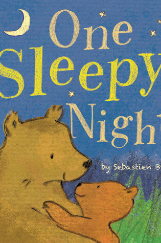 Cover of One Sleepy Night