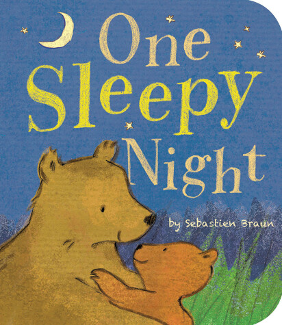 Book cover for One Sleepy Night