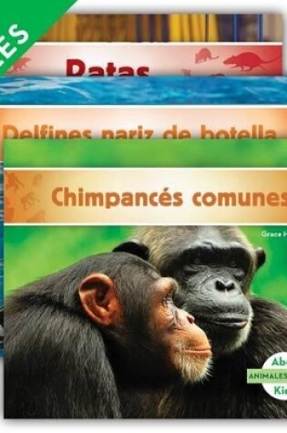 Cover of Animales Amigos (Animal Friends) (Set)