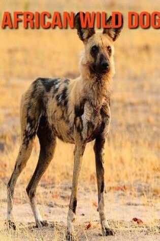 Cover of African Wild Dog