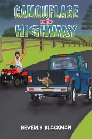 Cover of Camouflage on the Highway