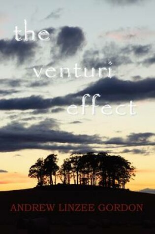 Cover of The Venturi Effect
