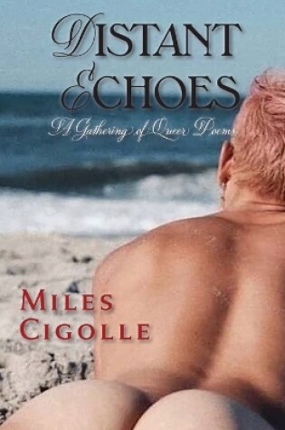 Cover of Distant Echoes