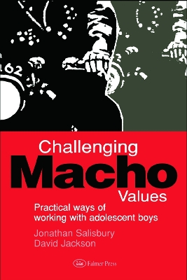 Book cover for Challenging Macho Values