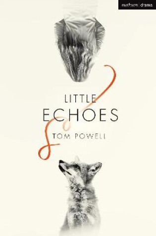 Cover of Little Echoes