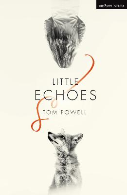 Book cover for Little Echoes