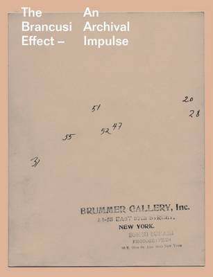 Book cover for The Brancusi Effect – An Archival Impulse