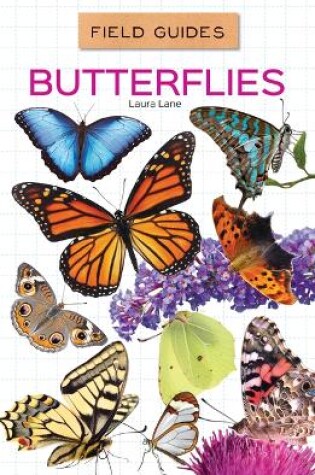 Cover of Butterflies