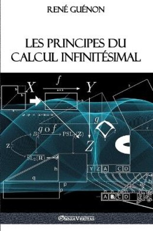 Cover of Les principes du calcul infinitesimal