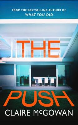 Book cover for The Push