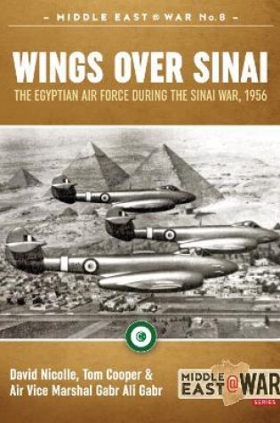 Cover of Wings Over Sinai