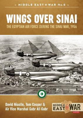 Book cover for Wings Over Sinai