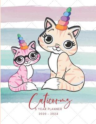 Book cover for 2020-2024 Five Year Planner Monthly Calendar Caticorns Goals Agenda Schedule Organizer