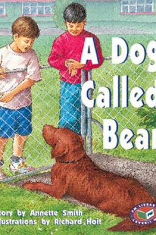 Cover of A Dog Called Bear