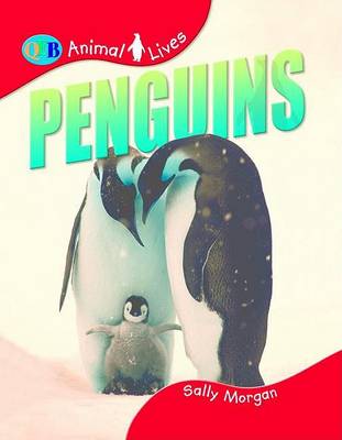 Book cover for Animal Lives Penguins Us