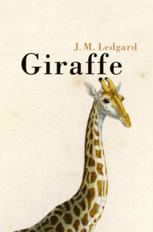 Cover of Giraffe