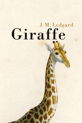 Book cover for Giraffe