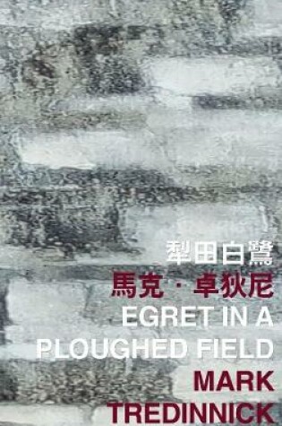 Cover of Egret in a Ploughed Field