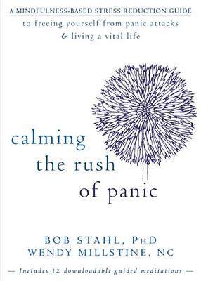 Book cover for Calming the Rush of Panic