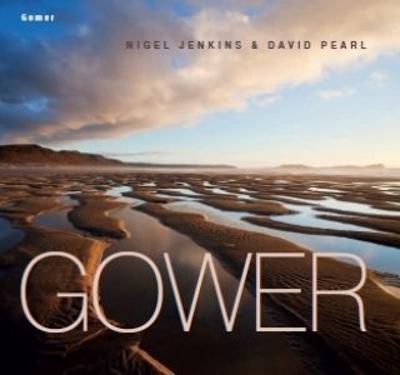 Book cover for Gower