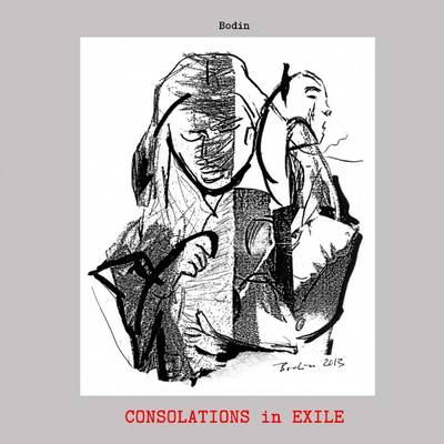 Book cover for Consolations