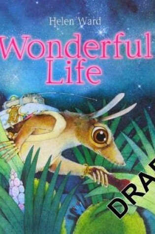 Cover of Wonderful Life