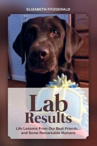 Cover of Lab Results