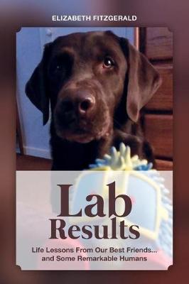 Book cover for Lab Results