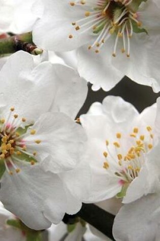 Cover of Pretty White Almond Flowers on the Tree in Spring Journal