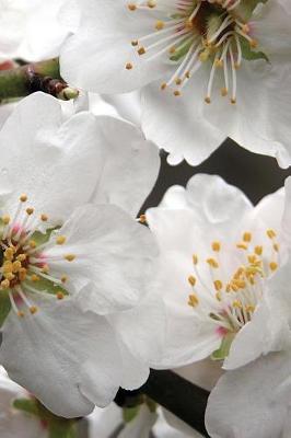 Book cover for Pretty White Almond Flowers on the Tree in Spring Journal