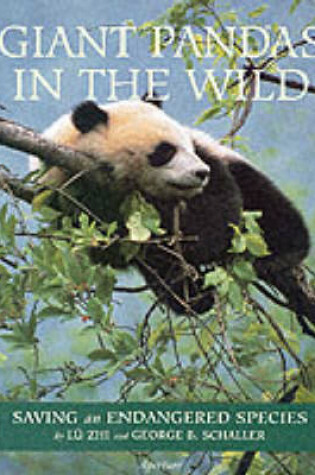 Cover of Giant Pandas in the Wild