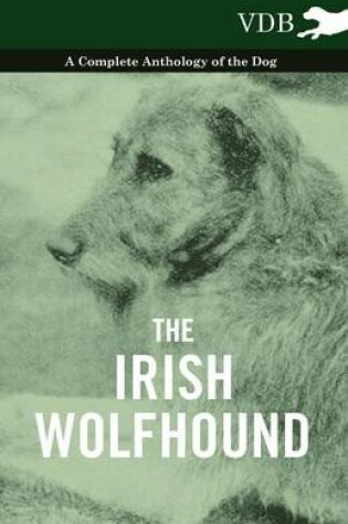 Cover of The Irish Wolfhound - A Complete Anthology of the Dog