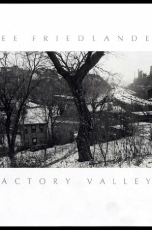 Cover of Factory Valleys