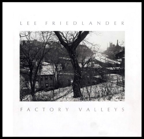 Book cover for Factory Valleys