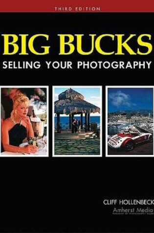 Cover of Big Bucks Selling Your Photography 3ed.
