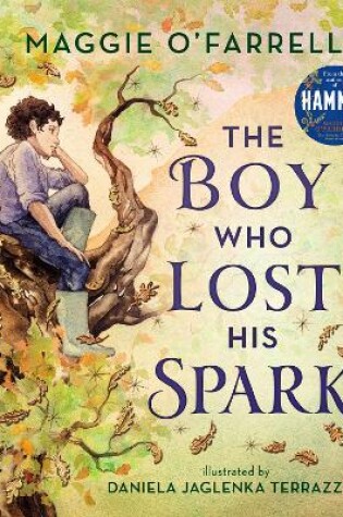 Cover of The Boy Who Lost His Spark