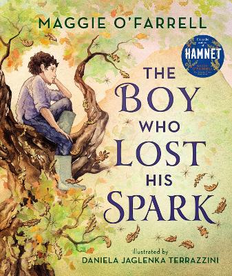 Book cover for The Boy Who Lost His Spark