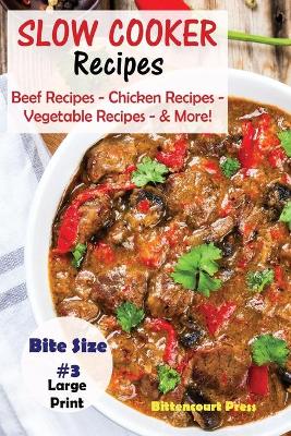 Book cover for Slow Cooker Recipes - Bite Size #3