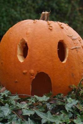 Book cover for Surprised Jack-o-Lantern Halloween Pumpkin Journal