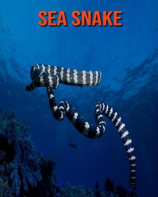 Book cover for Sea Snake