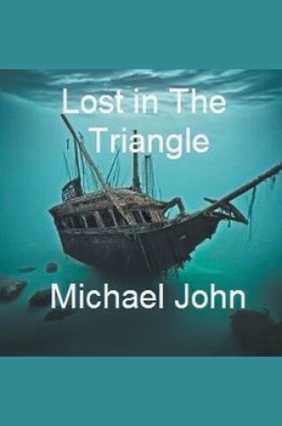 Cover of Lost In The Triangle