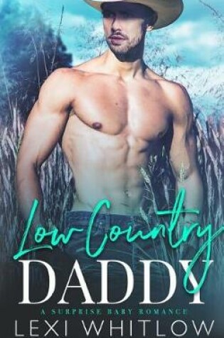 Cover of Low Country Daddy