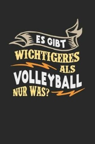 Cover of Es gibt wichtigeres als Volleyball nur was?