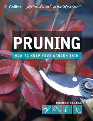 Cover of Pruning