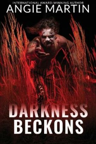 Cover of Darkness Beckons